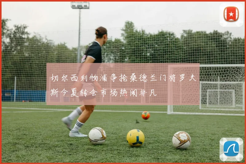 切尔西利物浦争抢桑德兰门将罗夫斯今夏转会市场热闹非凡